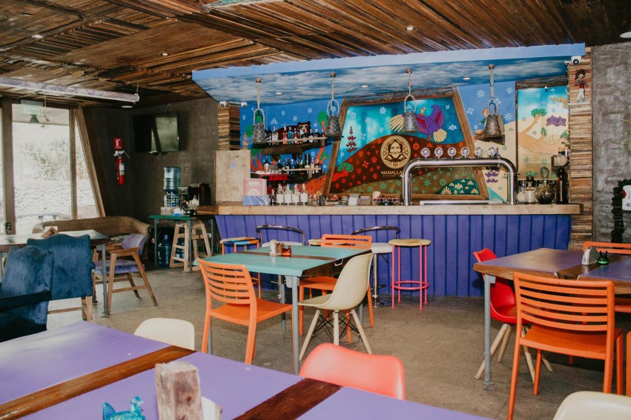 Mamallacta Paramo Lodge Papallacta Dış mekan fotoğraf