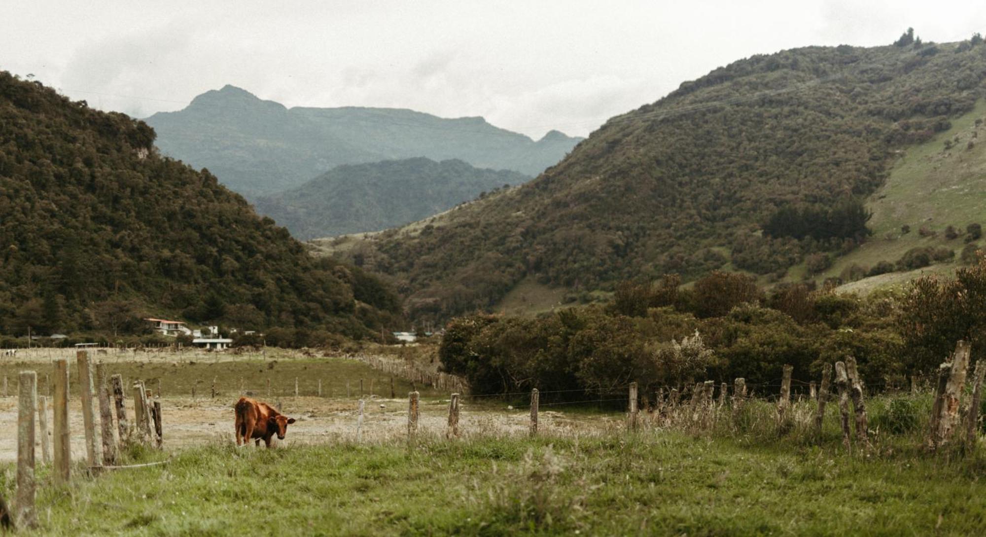 Mamallacta Paramo Lodge Papallacta Dış mekan fotoğraf